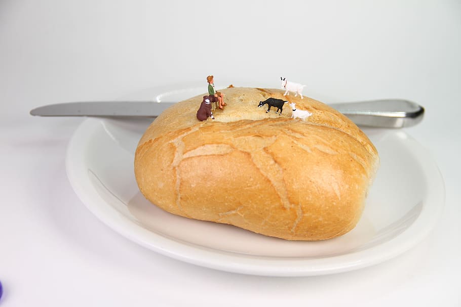 baked-goods-food-miniature-figures-bread.jpg