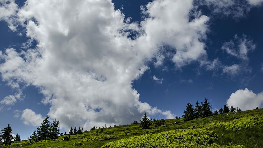 Nature, Clouds, Blue Sky, Trees, weather, heaven, cloud - sky HD wallpaper
