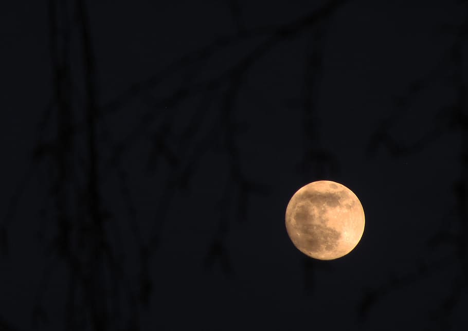 moon, full moon, night, darkness, dusk, space, astronomy, sky HD wallpaper