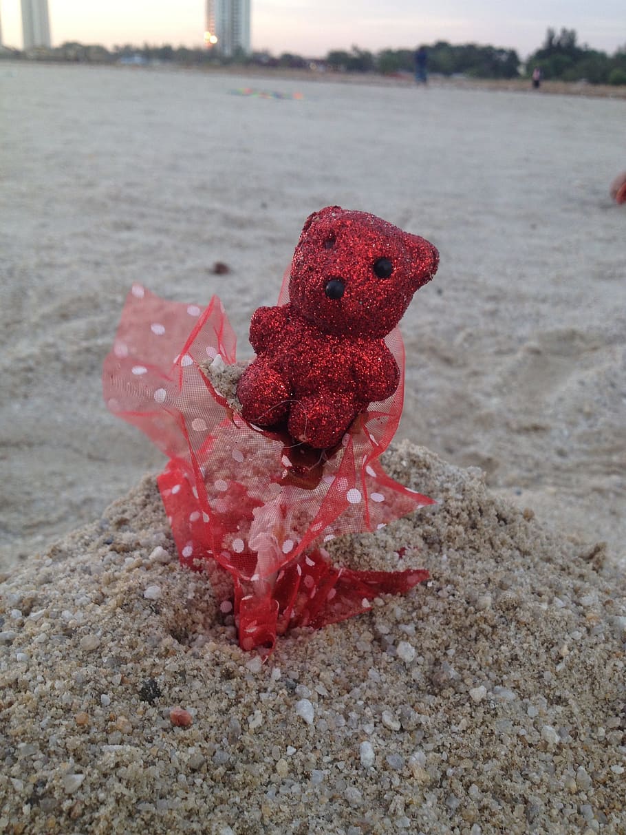 red, bear, seaside, child, teddy, cute, outdoor, toy, close-up HD wallpaper