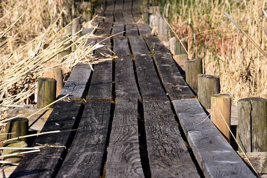 web, planks, grass, reed, away, dry, walk, weathered, wood HD wallpaper