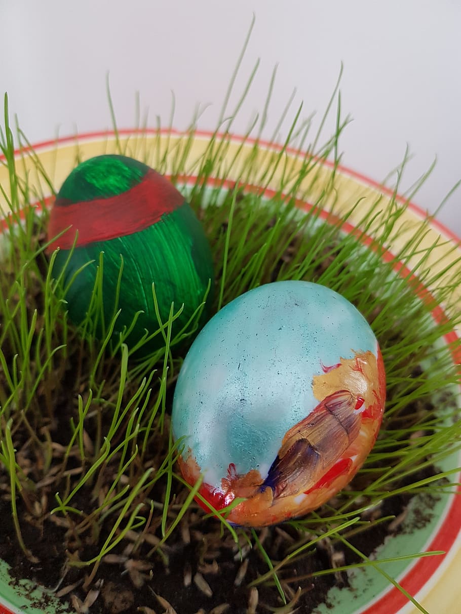 easter, egg, nature, grass, green color, plant, close-up, no people HD wallpaper