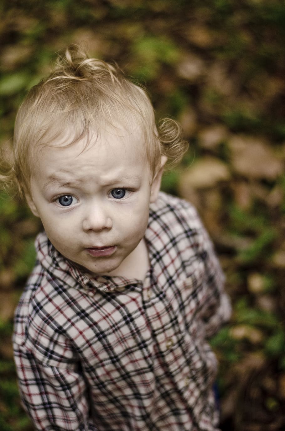 Boy, Silly, Outdoor, funny, serious, green, plaid, flannel HD wallpaper