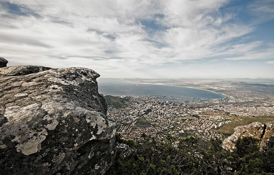 bird's eye view photography of city, urban city during daytime HD wallpaper