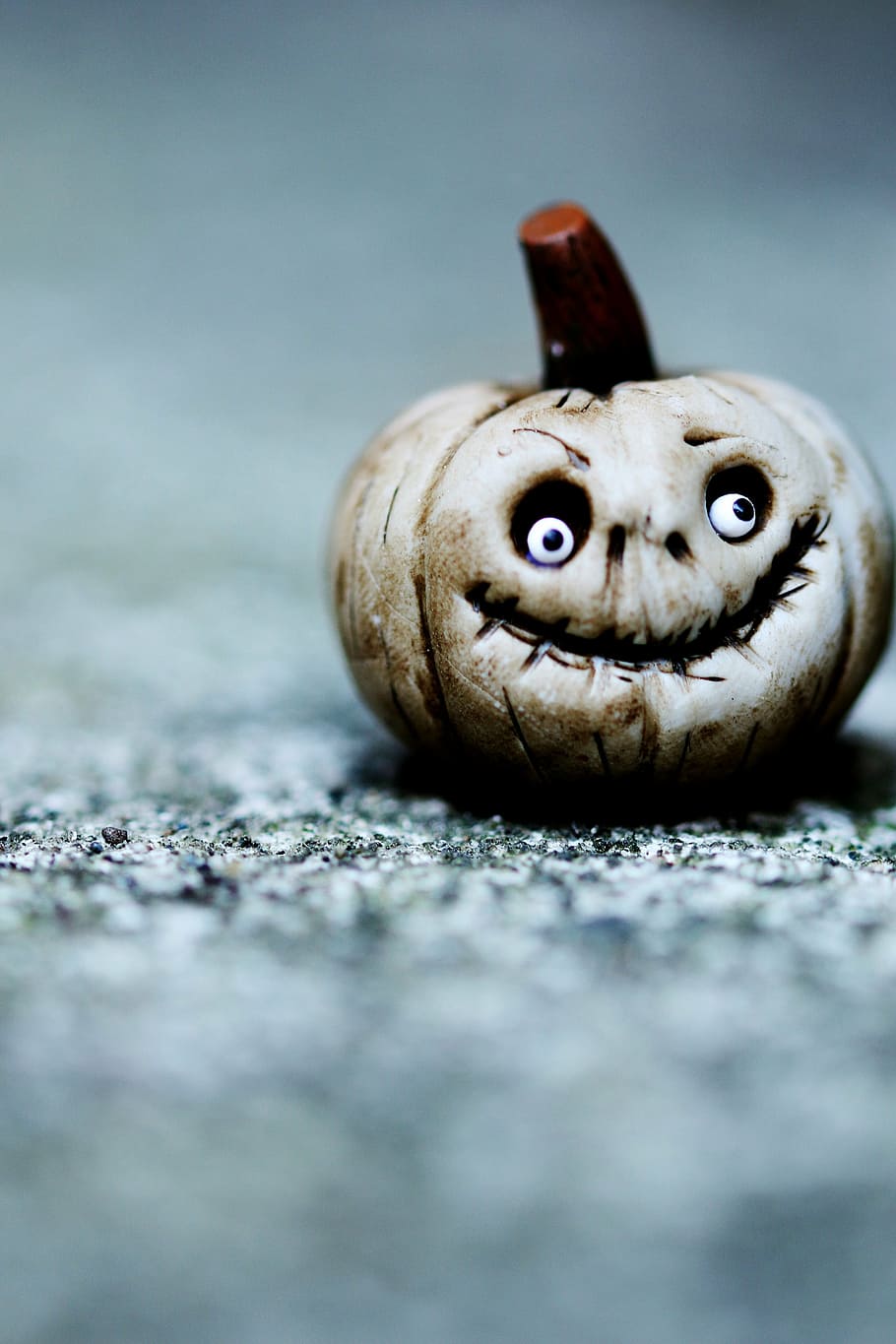 figure, halloween, vegetables, selective focus, animal, animal themes HD wallpaper