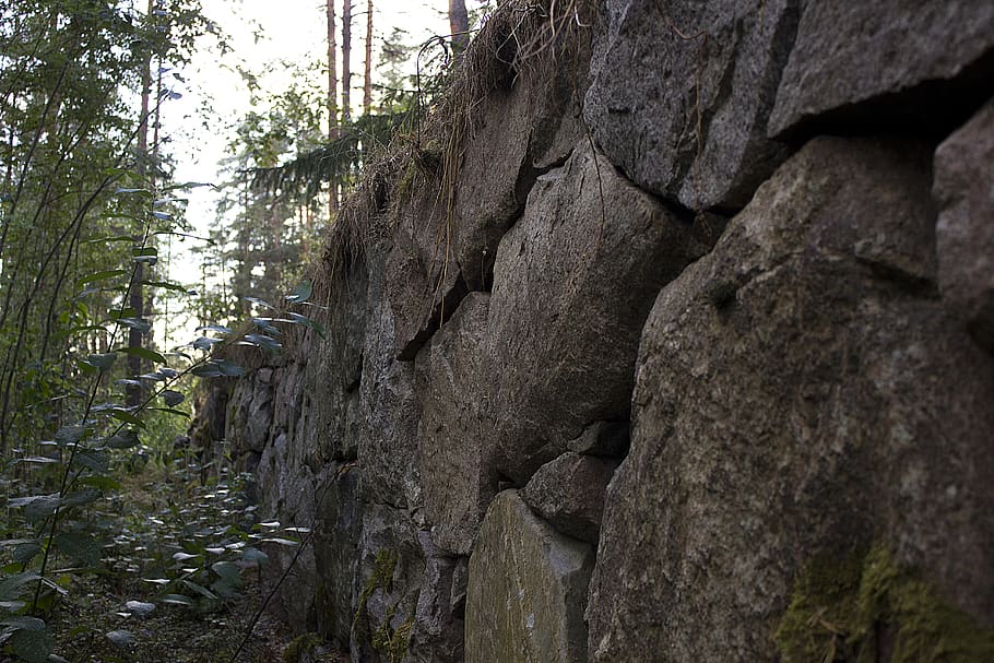 stone wall, forest, nature, plant, tree, rock, day, rock - object HD wallpaper