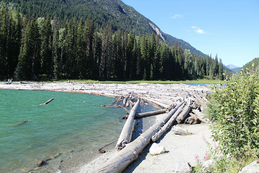 Canada, Bc, Lake, nature, water, day, scenics, mountain, tree HD wallpaper