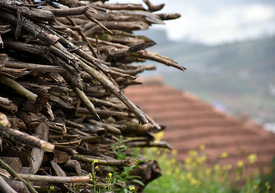 Wood, Stack, Fire, Village, Ooty, Pile, wood stack, natural HD wallpaper