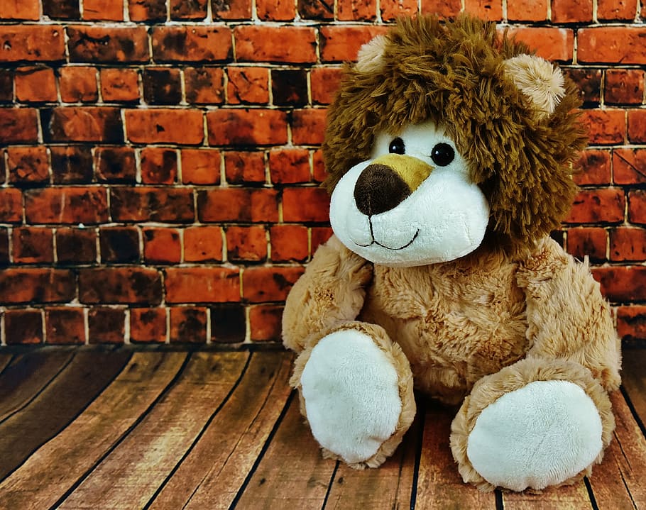 photo of brown lion plush toy sitting beside wall, soft toy, stuffed animal