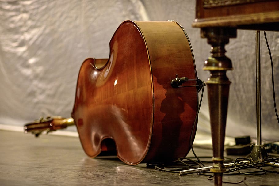 music, instrument, strings, musical instrument, arts culture and entertainment HD wallpaper