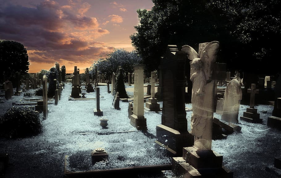 white and black concrete gravestones in graveyard, headstone, HD wallpaper