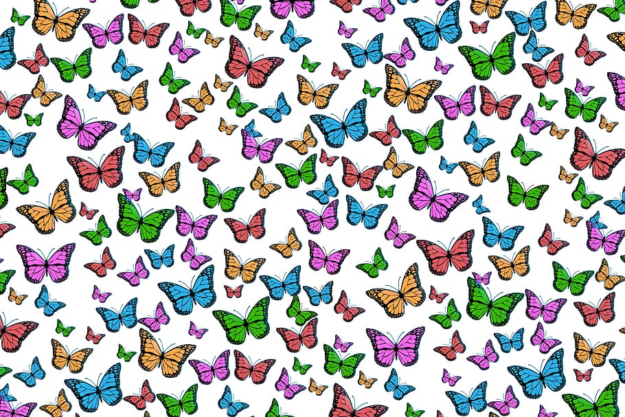 HD wallpaper: multicolored butterfly print, butterflies, colorful, pattern  | Wallpaper Flare