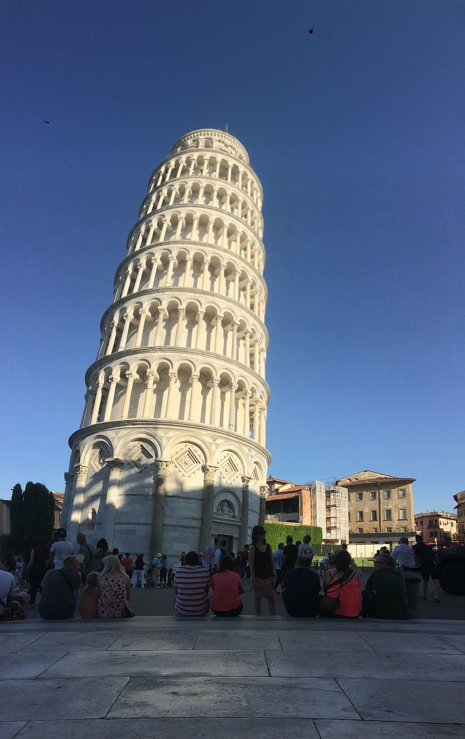 pisa, sun, tower, blue sky, architecture, built structure, building exterior HD wallpaper
