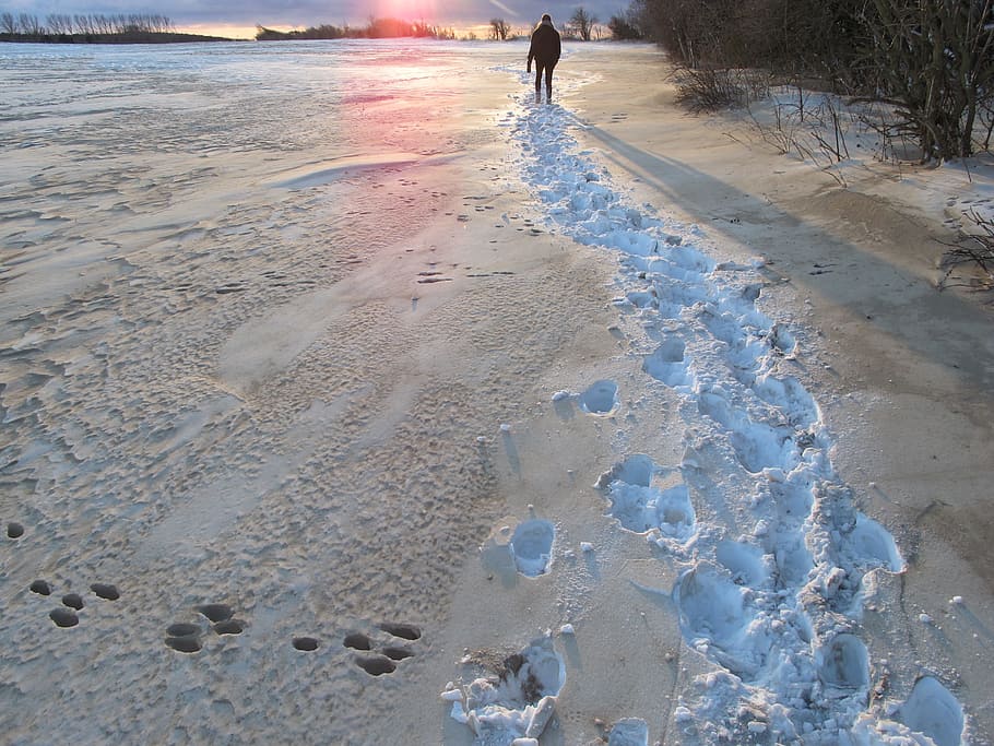Snow, Sunset, Wintry, Dusk, Traces, beach, people, outdoors HD wallpaper