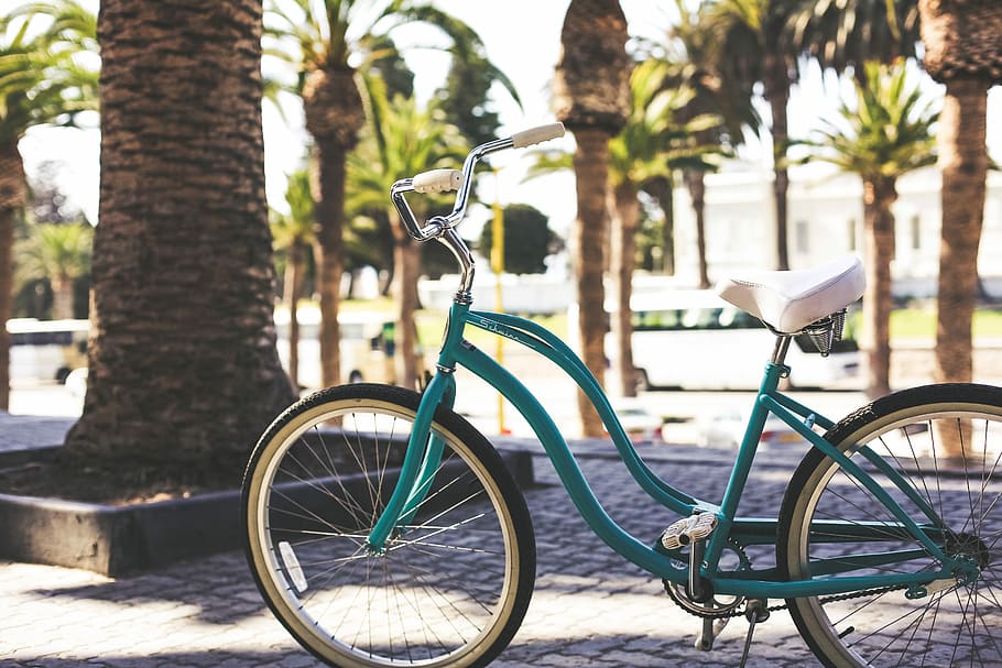 Riding through a small town., green cruiser bike parked on gray pavement beside green palm trees, HD wallpaper