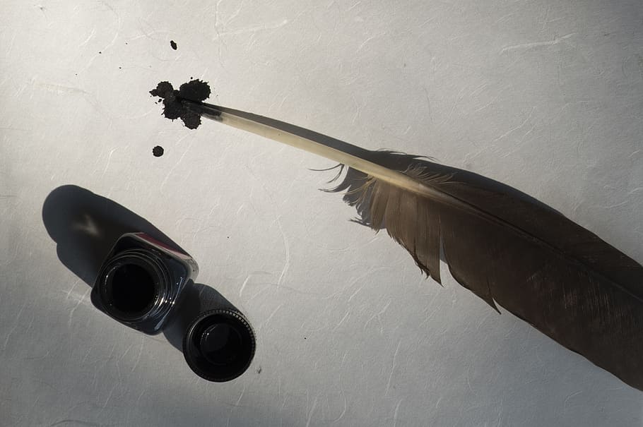 untitled, bird feather, paper, parchment, handmade paper, structure of the paper HD wallpaper