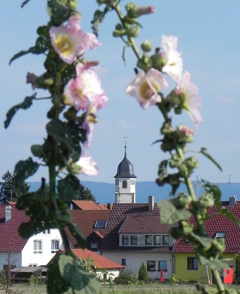 Village, Spring, Steeple, Architecture, blue, sky, building HD wallpaper