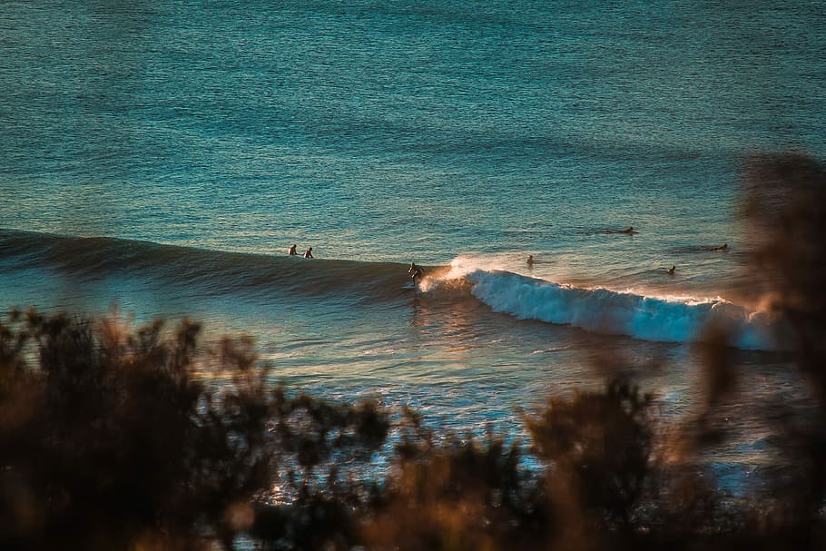 photo of people on shore, group of people playing on seawave during daytime HD wallpaper