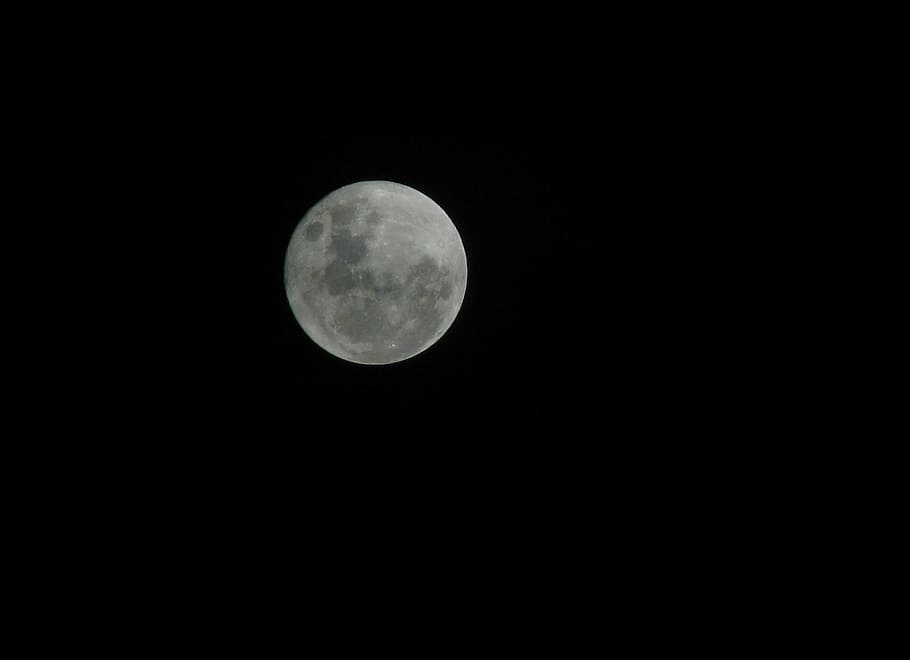 full moon, round, gray, dark, night, space, satellite, astronomy HD wallpaper