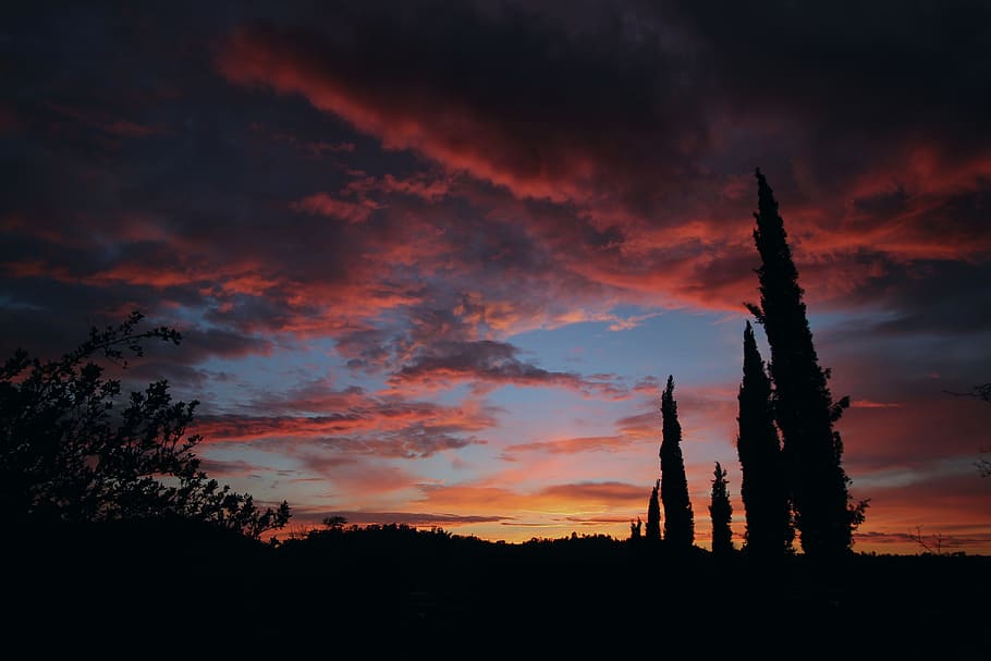 sunset, sky, cloud, horizin, yellow, dawn, view, light, orange HD wallpaper