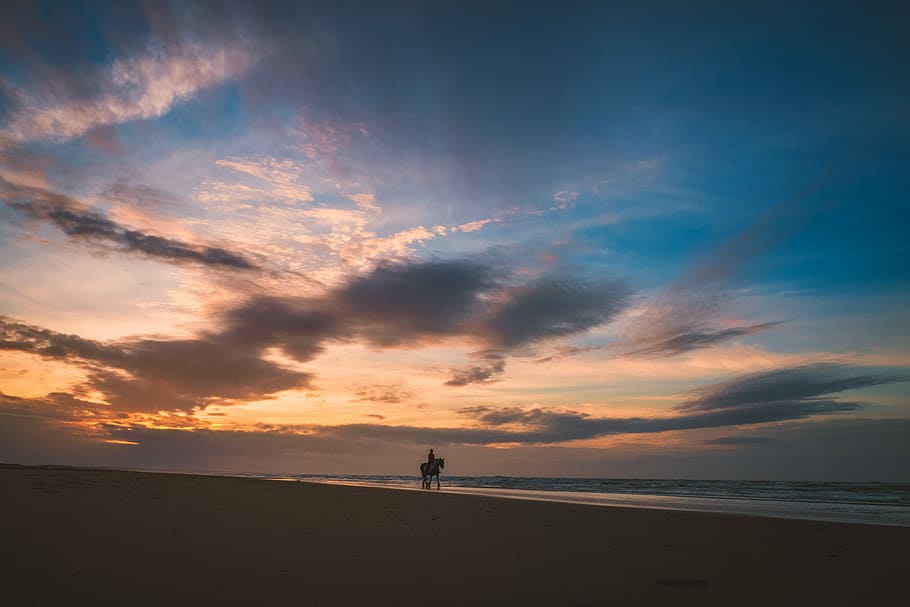 person riding horse at seashore near body of water under cloudy sky, person riding horse on seashore HD wallpaper