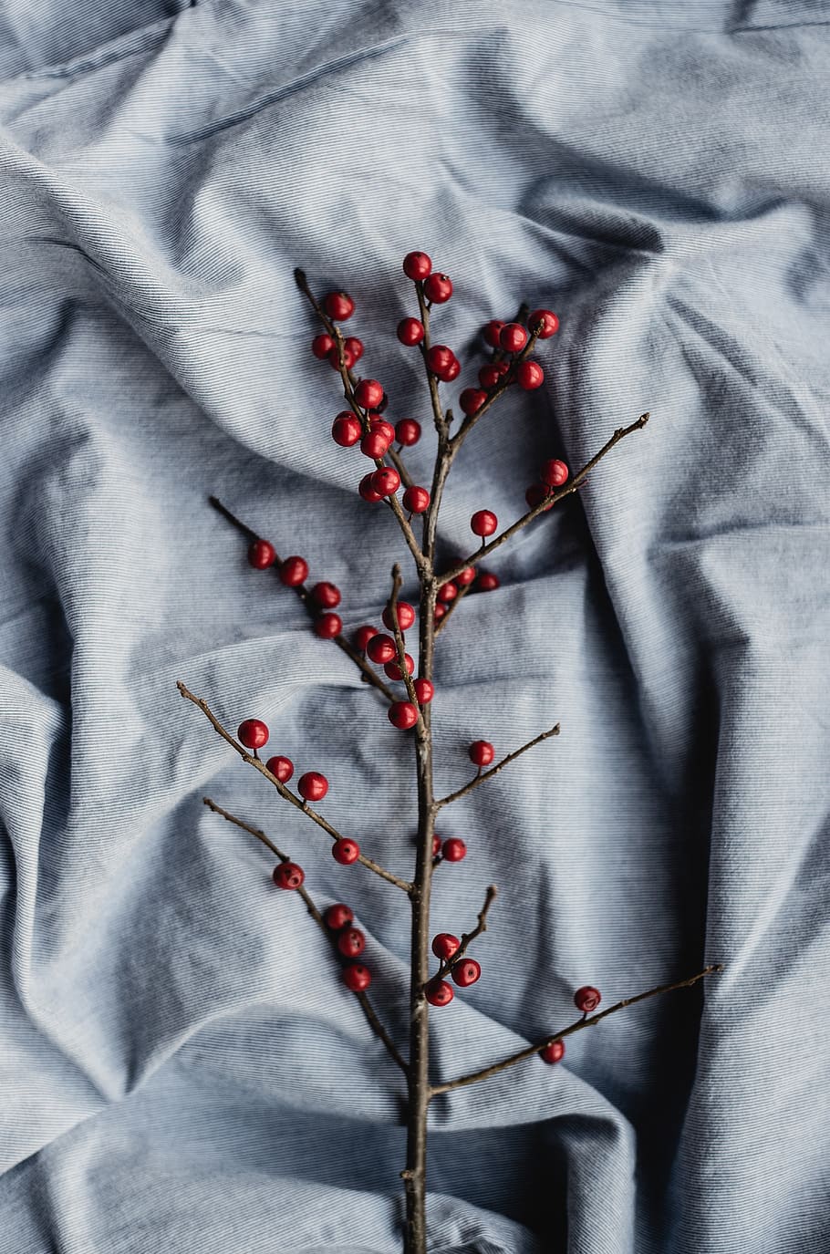 cloth, blanket, red, fruit, branch, studio shot, indoors, textile HD wallpaper
