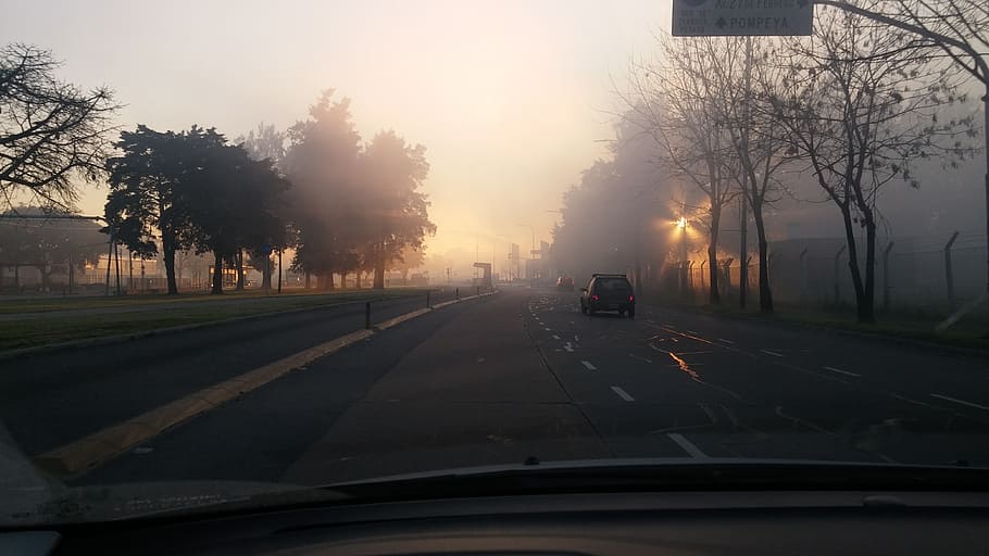 Mist, Street, Dawn, car, traffic, transportation, road, highway HD wallpaper