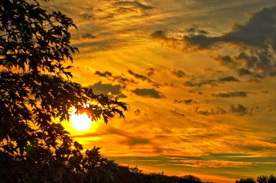 sunset, landscape, summer, leaves, harmony, nature, peaceful HD wallpaper