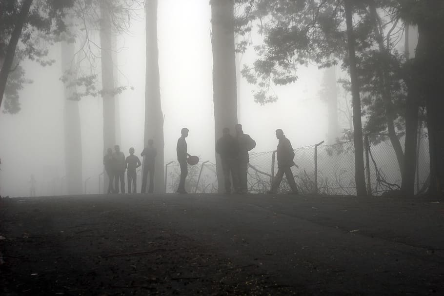 group of men on fog covered forest, mist, landscape, nature HD wallpaper