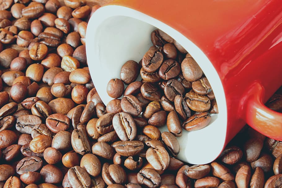 red ceramic mug on coffee beans, grains, drink, cup, food and drink HD wallpaper