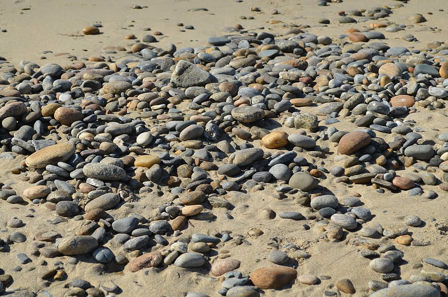 Stone, Round, Smooth, Sand, Collection, beach, large group of animals HD wallpaper