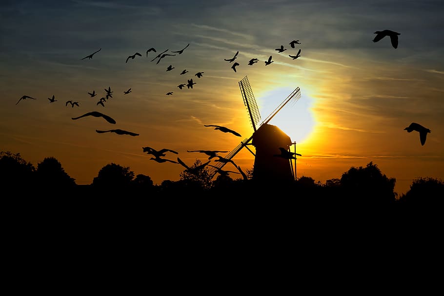 silhouette of a windmill and flying birds at sunset, geese HD wallpaper