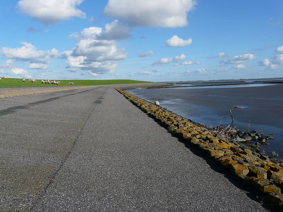Dike, Road, North, North Sea, dike road, nordfriesland, ocean, HD wallpaper
