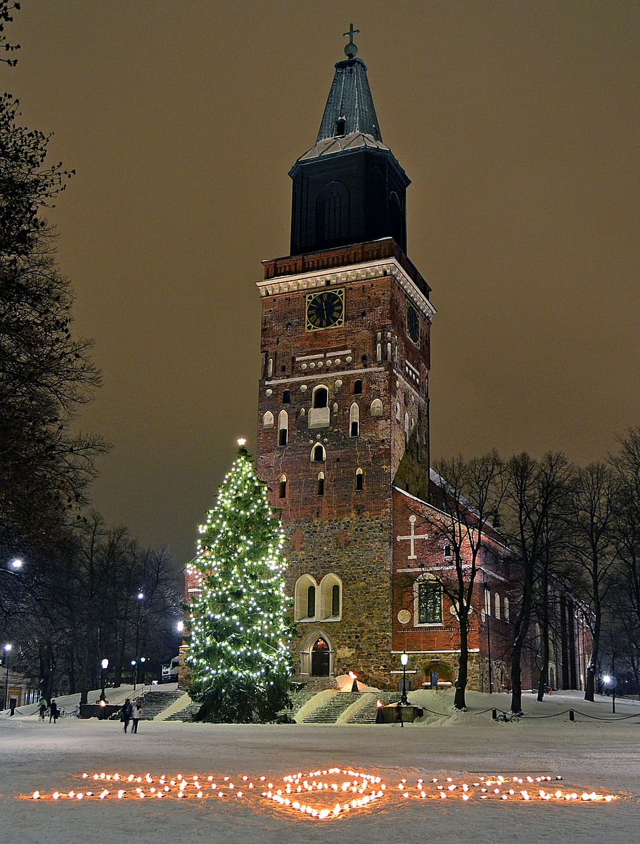 Christmas Tree, Turku Cathedral, Winter, six, candle, poinsettia, HD wallpaper