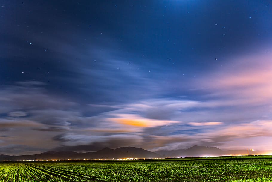 green field with twilight painting, grass, cloudy, blue, sky HD wallpaper