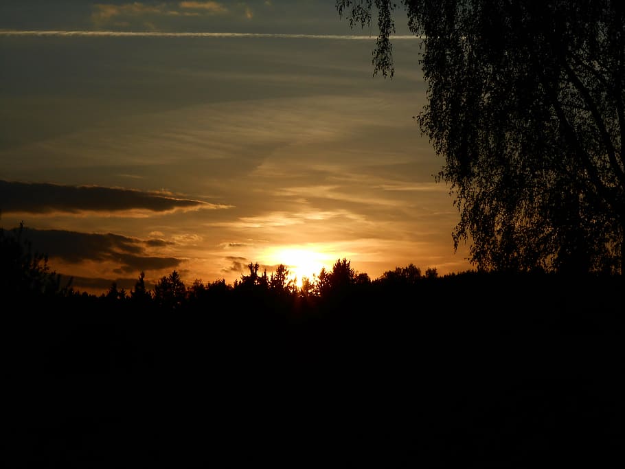 sunset, tree, horizon, sky, light, west, rays, nature, dawn HD wallpaper
