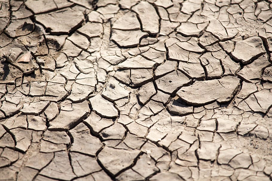 drought, climate, arid, mud, dry, arid climate, cracked, environment HD wallpaper