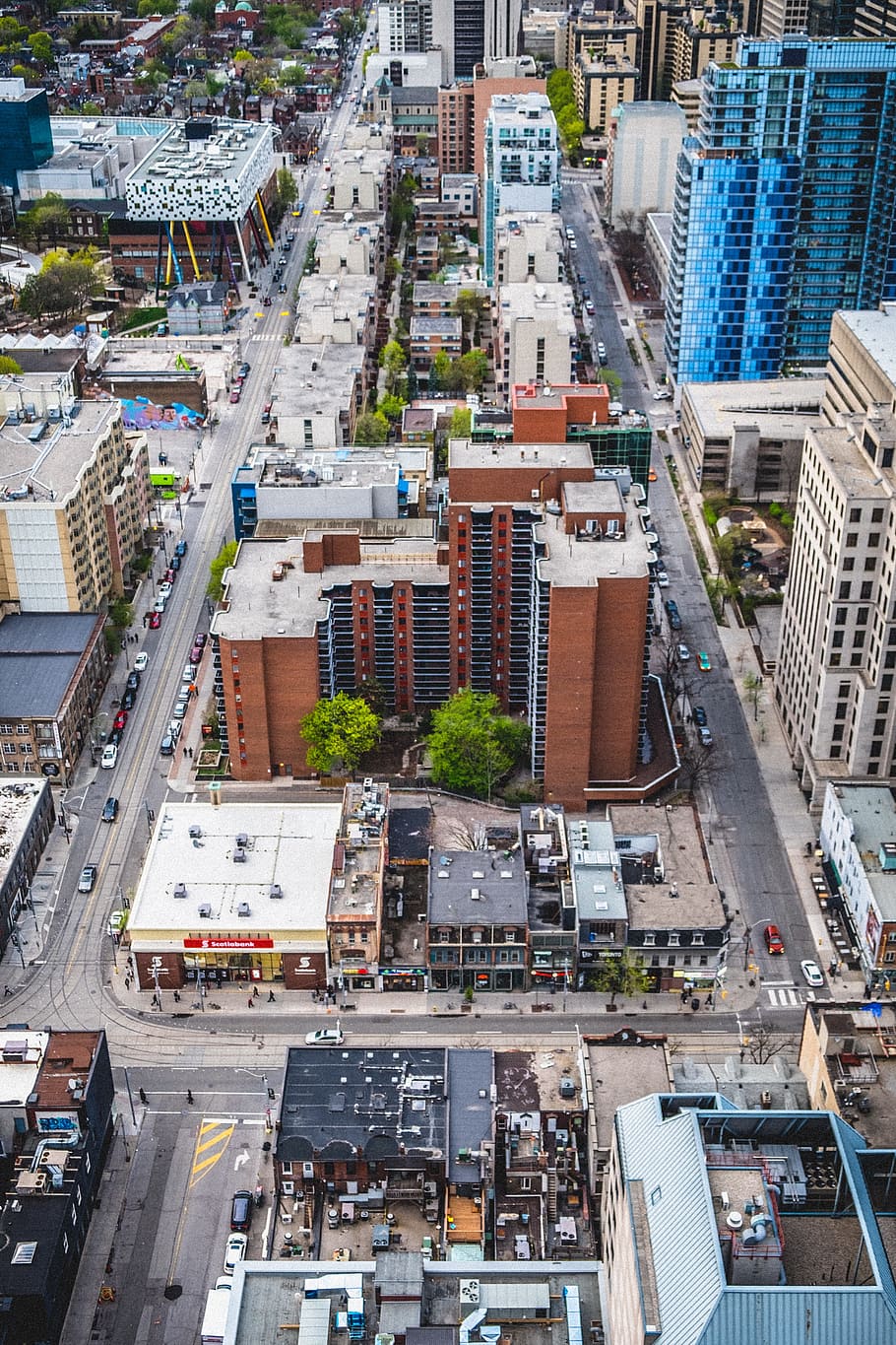 aerial view of city during daytime, city buildings areal photograph HD wallpaper