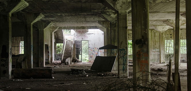 abandoned concrete building at daytime, ruin, leave, destroyed HD wallpaper