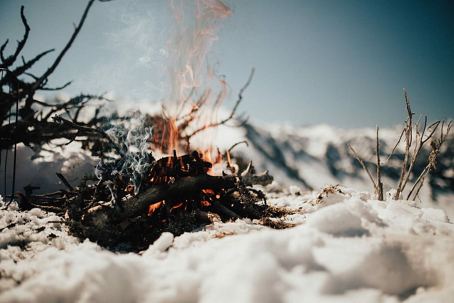selective focus photography of bonfire, bonfire on snow, burning HD wallpaper