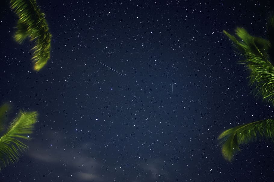 dark, night, sky, blue, stars, leaf, space, astronomy, star - space HD wallpaper