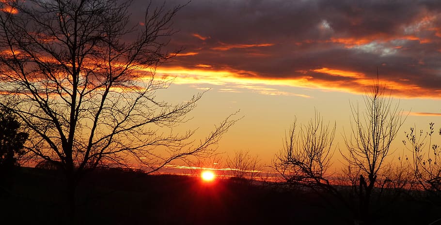 sunset, setting sun, colorful sunset, sky, tree, scenics - nature HD wallpaper