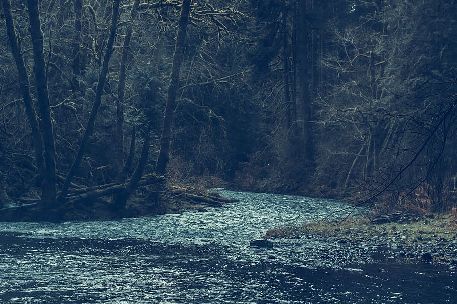 cold, daylight, environment, forest, lake, landscape, mountain HD wallpaper
