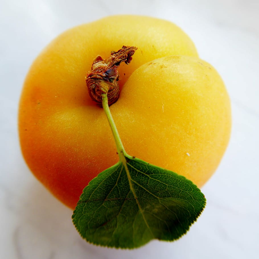 apricot, leaf, fruit, tender, vitamins, frisch, sweet, juicy HD wallpaper