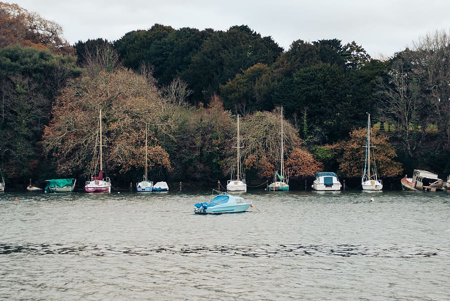 Moored boats, landscape, nautical Vessel, nature, water, sea HD wallpaper