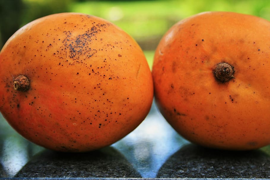 fruit, mangoes, round, orange, fresh, tropical, food and drink HD wallpaper