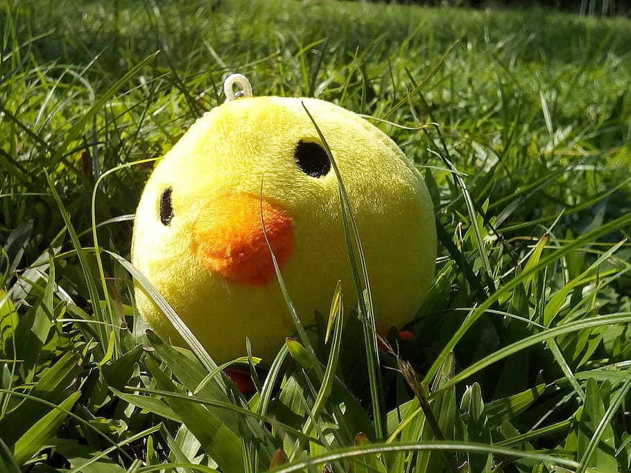 birds, grass, tree, background, garden, chick, doll, toys, plant HD wallpaper