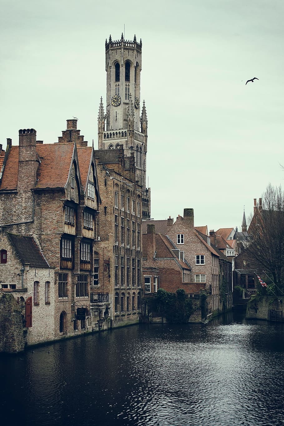 Bruges, Tourism, Belfry, Church, building, architecture, historic building, HD wallpaper