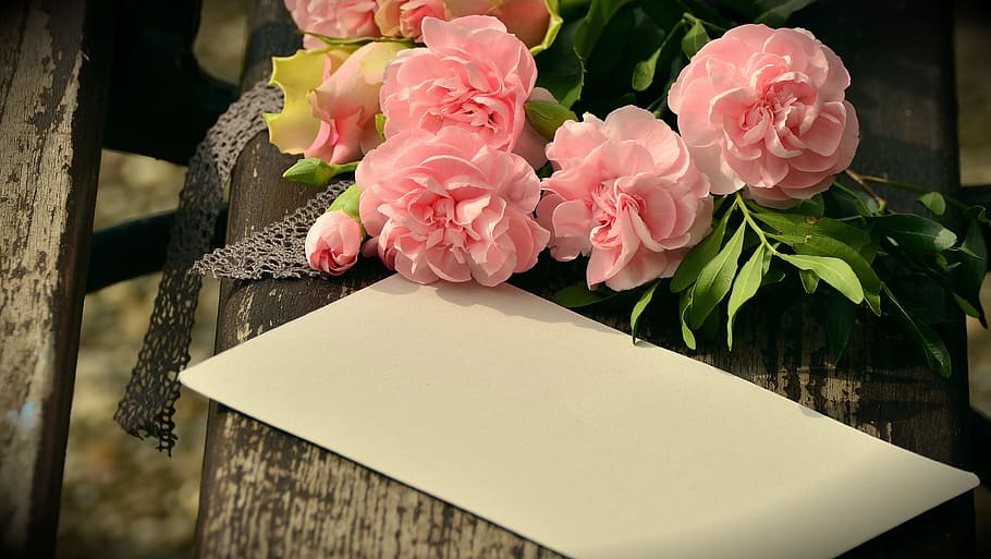 pink flowers beside white paper, bouquet, floral greeting, cloves