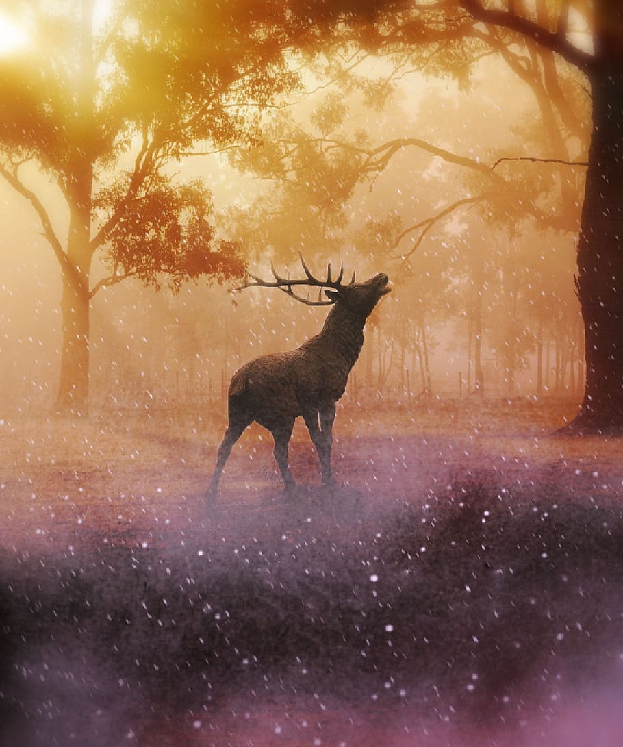Reindeer standing between trees painting, hirsch, forest, beautiful